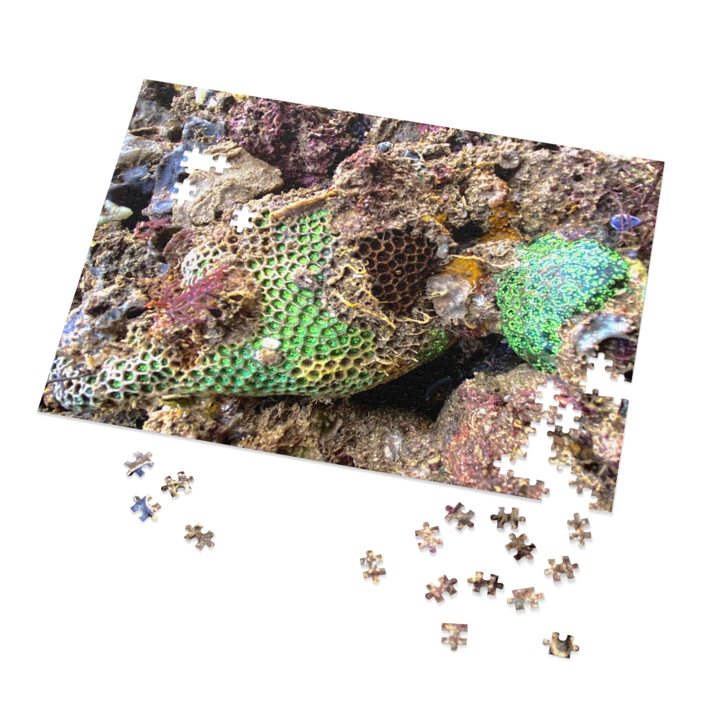 Reef range- Jigsaw Puzzle (30, 110, 252, 500,1000-Piece)