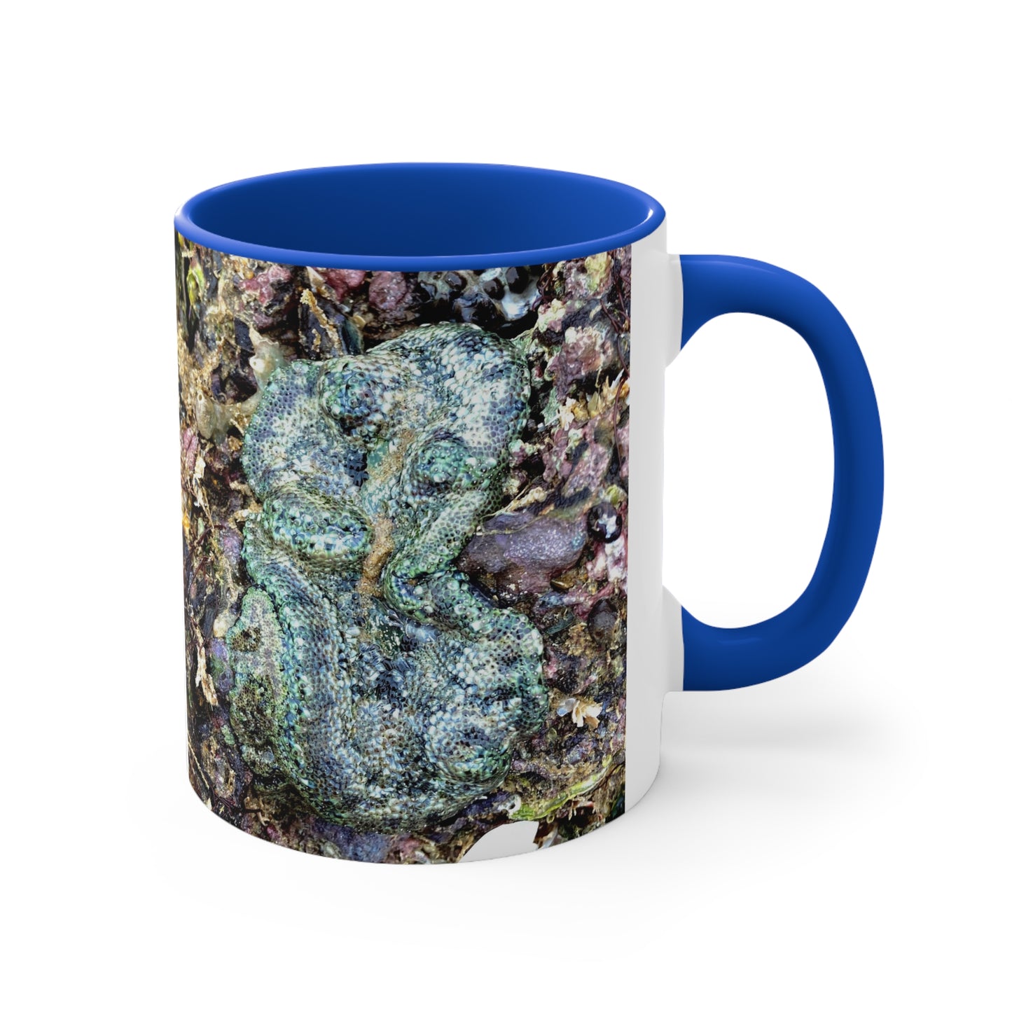 Reef range- AUS PRINT Colorful Accent Mugs, 11oz