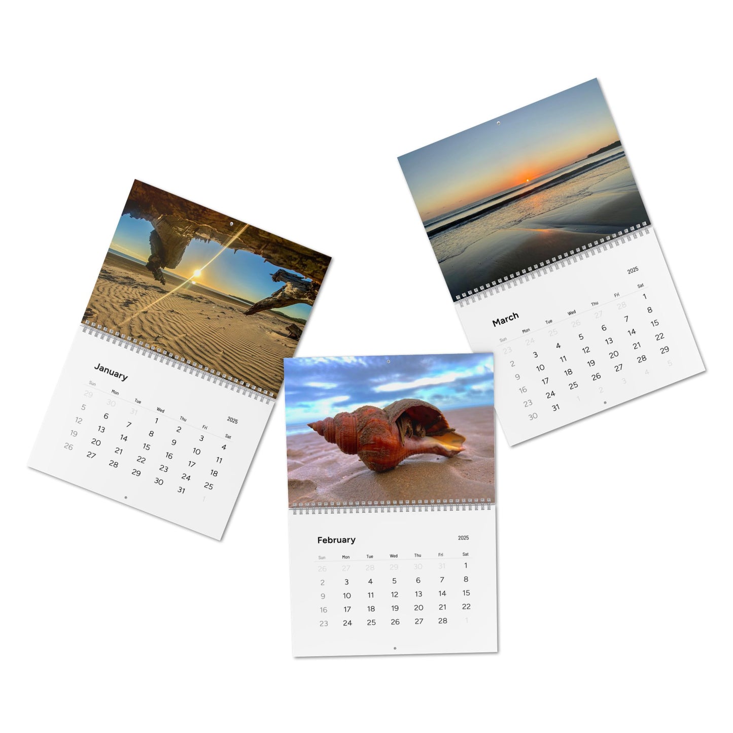 Beach Lovers range- AUS PRINT Standard Wall Calendar (2025)