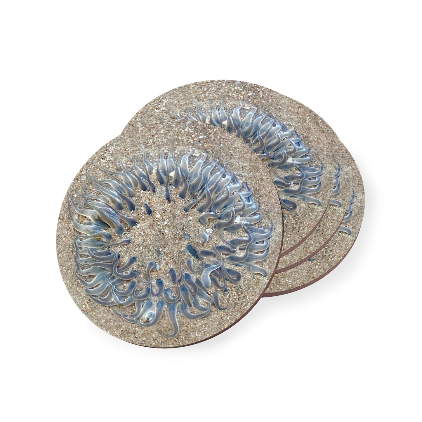 Reef range- AUS PRINT Coasters