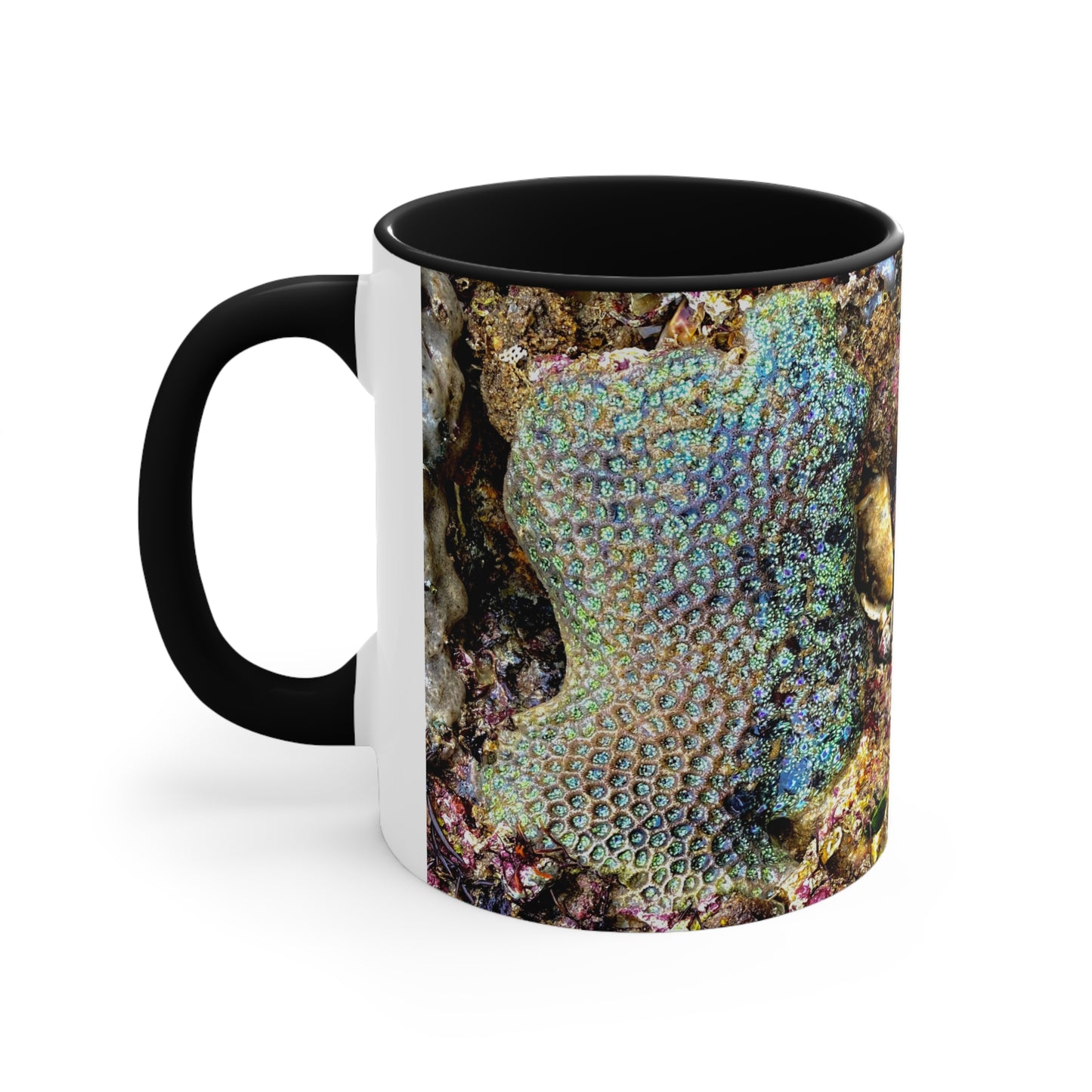 Reef range- AUS PRINT Colorful Accent Mugs, 11oz