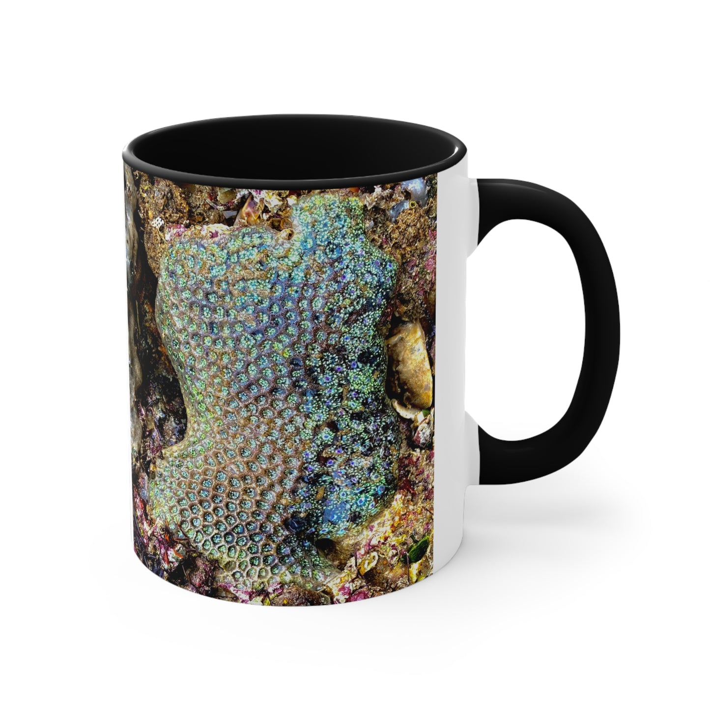 Reef range- AUS PRINT Colorful Accent Mugs, 11oz