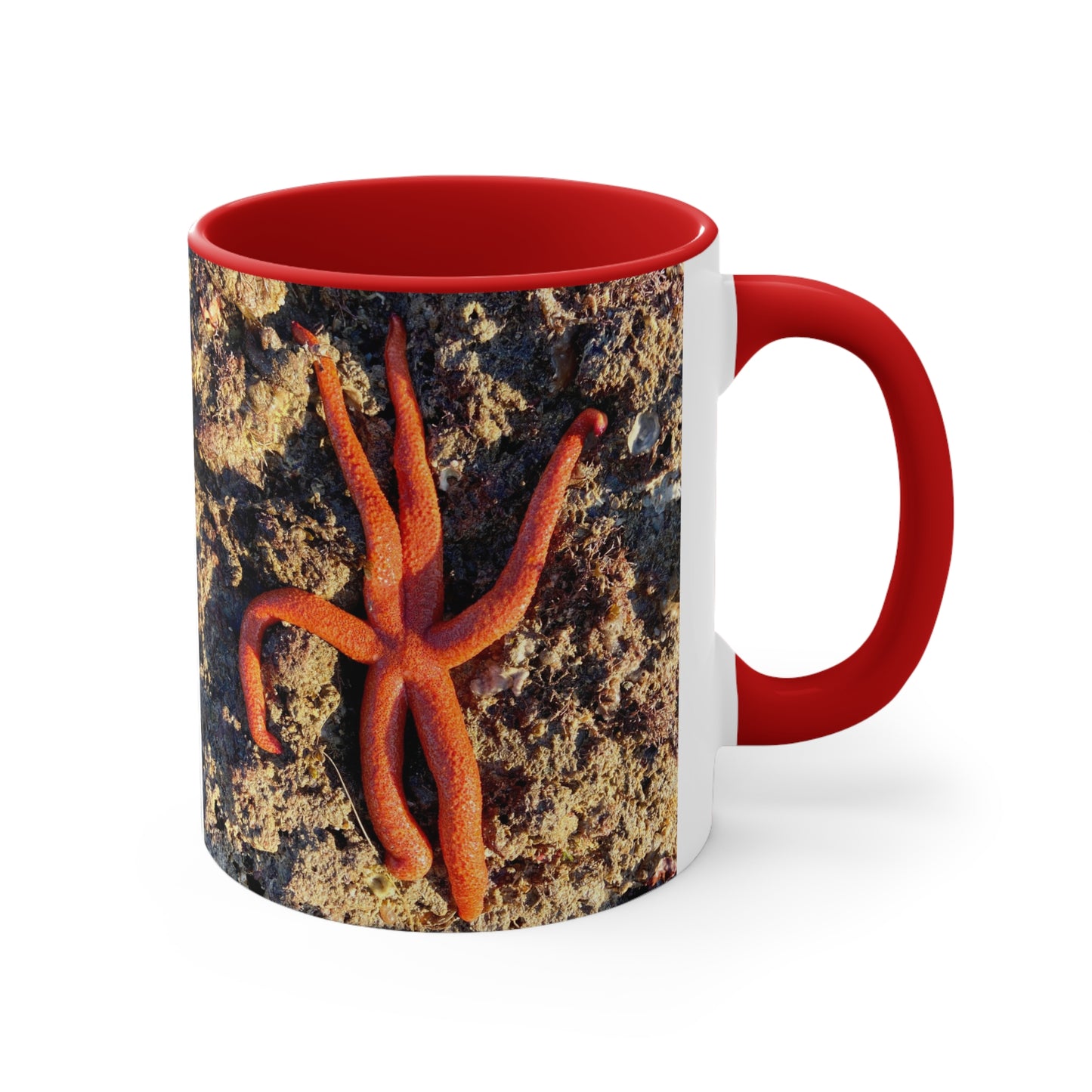 Reef range- AUS PRINT Colorful Accent Mugs, 11oz