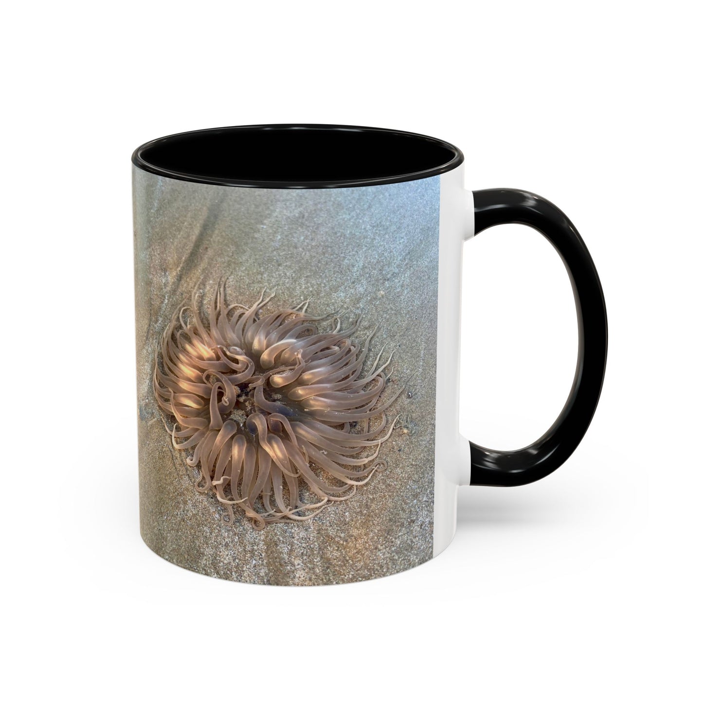 Purposely Wandering Accent Coffee Mug - Unique 11oz & 15oz Drinkware for Nature Lovers