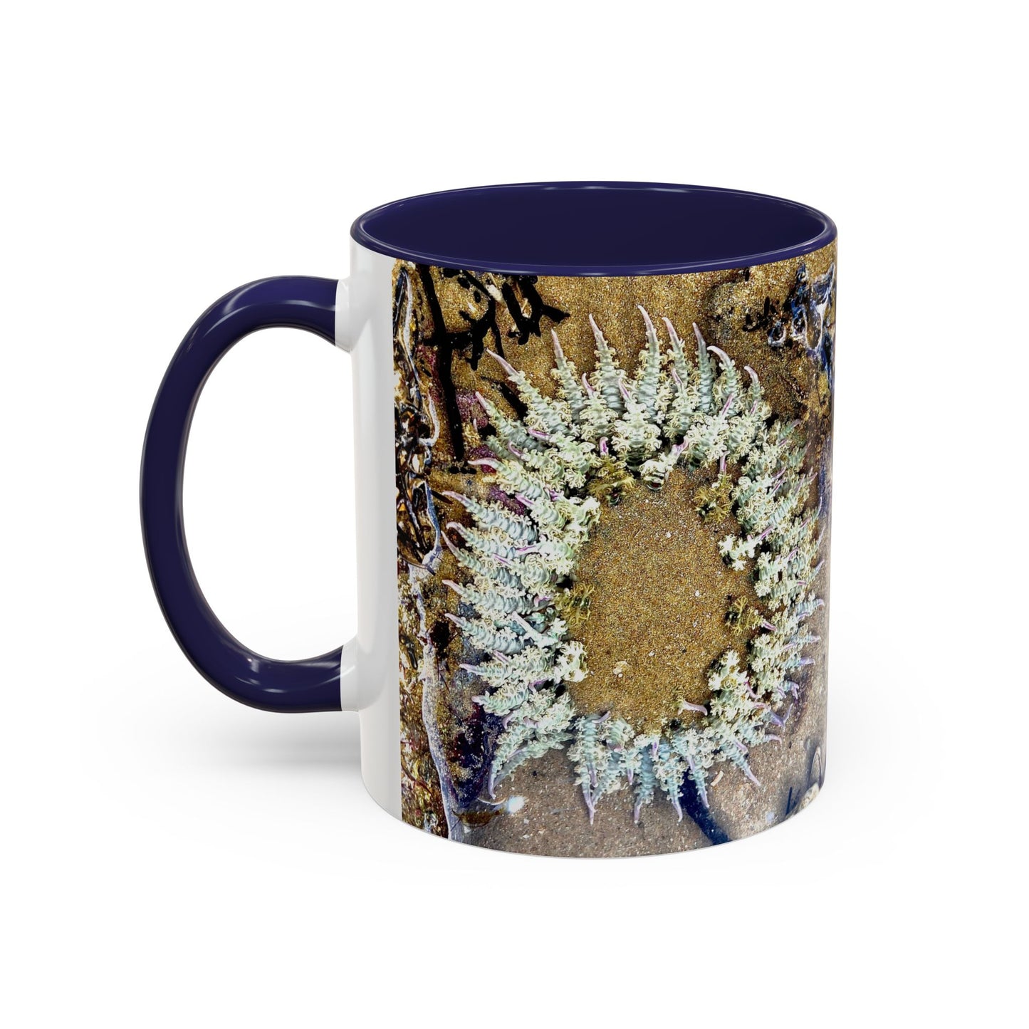 Reef range Accent Coffee Mug (11, 15oz)