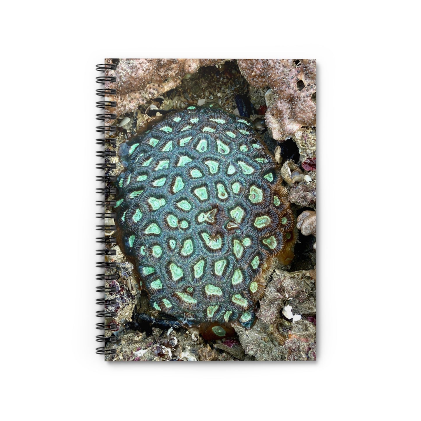 Reef range Spiral Notebook - Ruled Line