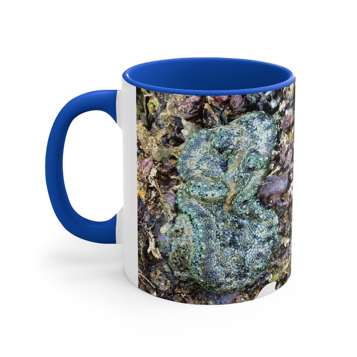 Reef range- AUS PRINT Colorful Accent Mugs, 11oz