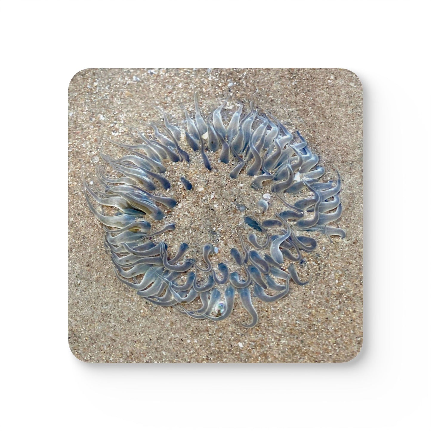 Ocean-Inspired Cork Coaster Set – Elegant Beach Decor for Home & Gifts