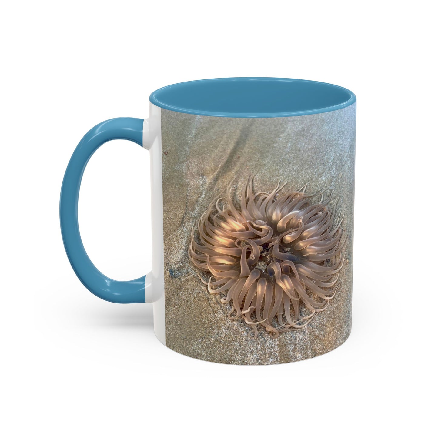 Reef range Accent Coffee Mug (11, 15oz)