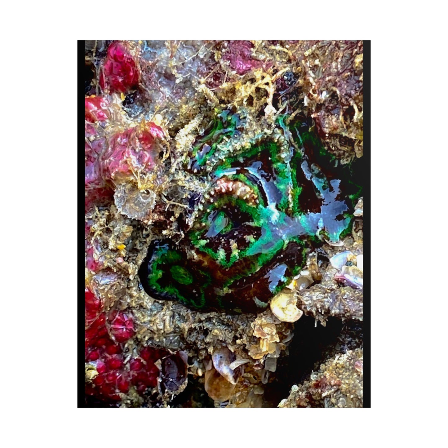 Ocean-Inspired Unframed Poster - Coastal Home Decor