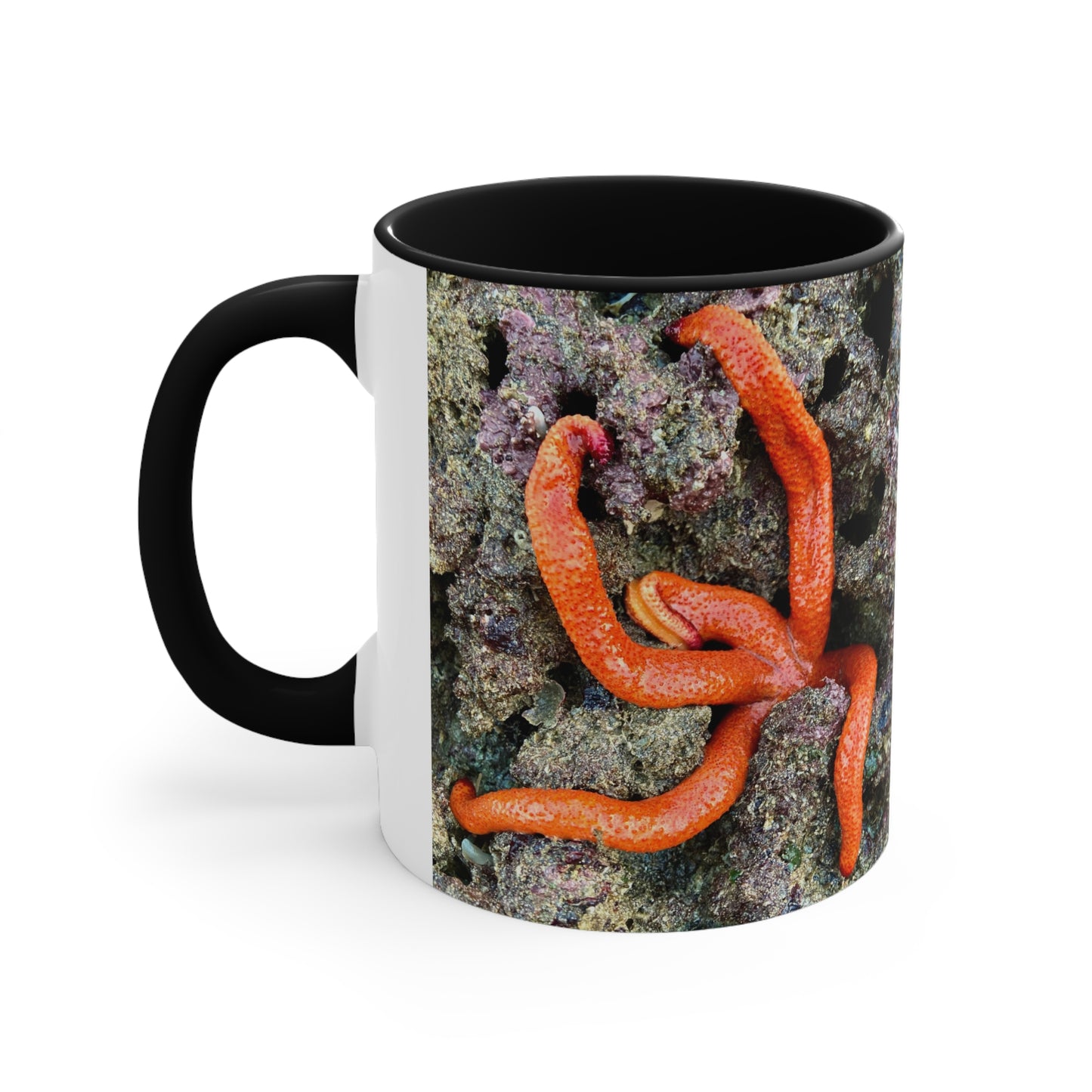 Reef range- AUS PRINT Colorful Accent Mugs, 11oz