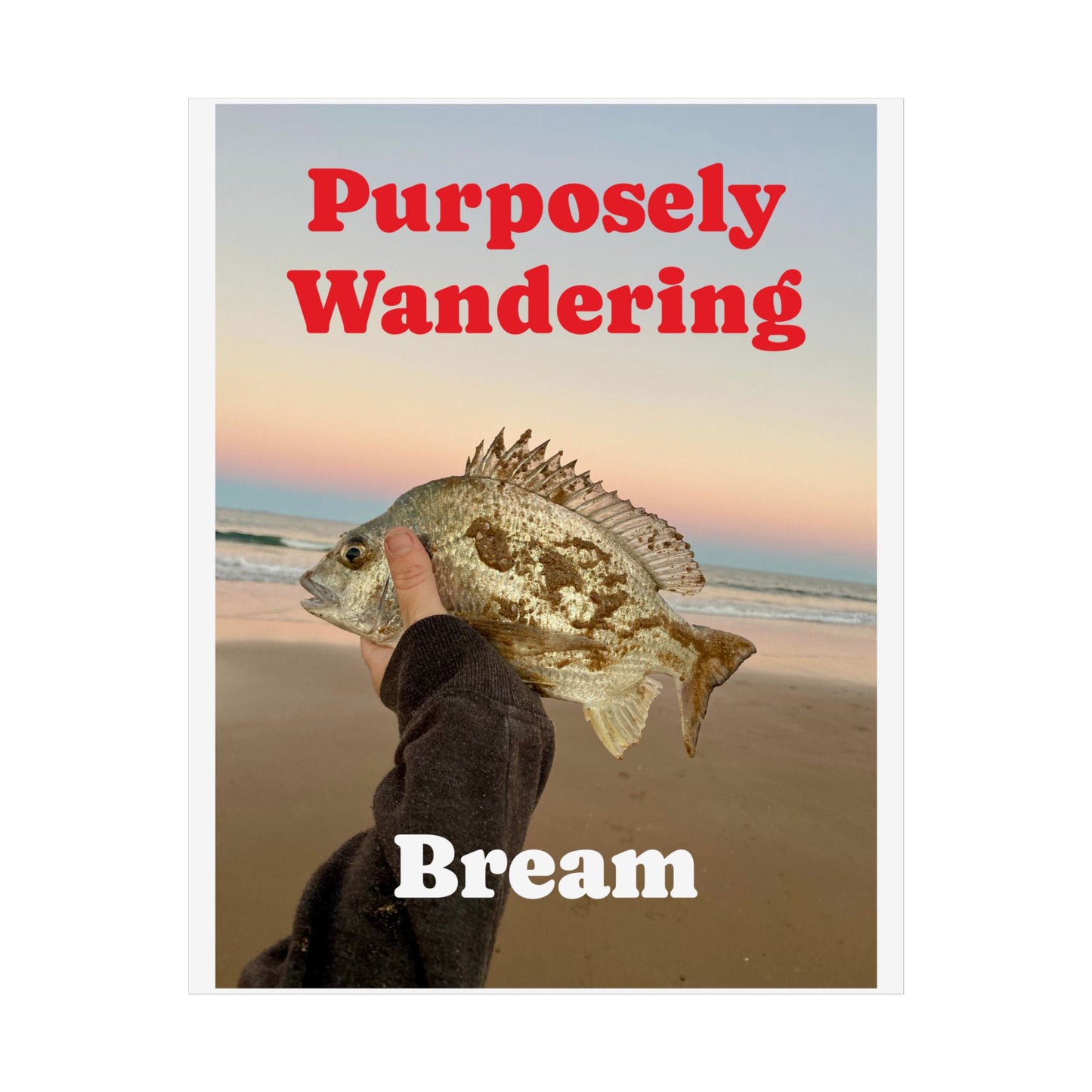 Bream Fishing Unframed Poster - Nature Lover's Wall Art - Purposely Wandering Decor