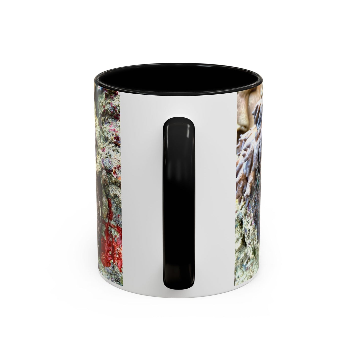 Reef range Accent Coffee Mug (11, 15oz)