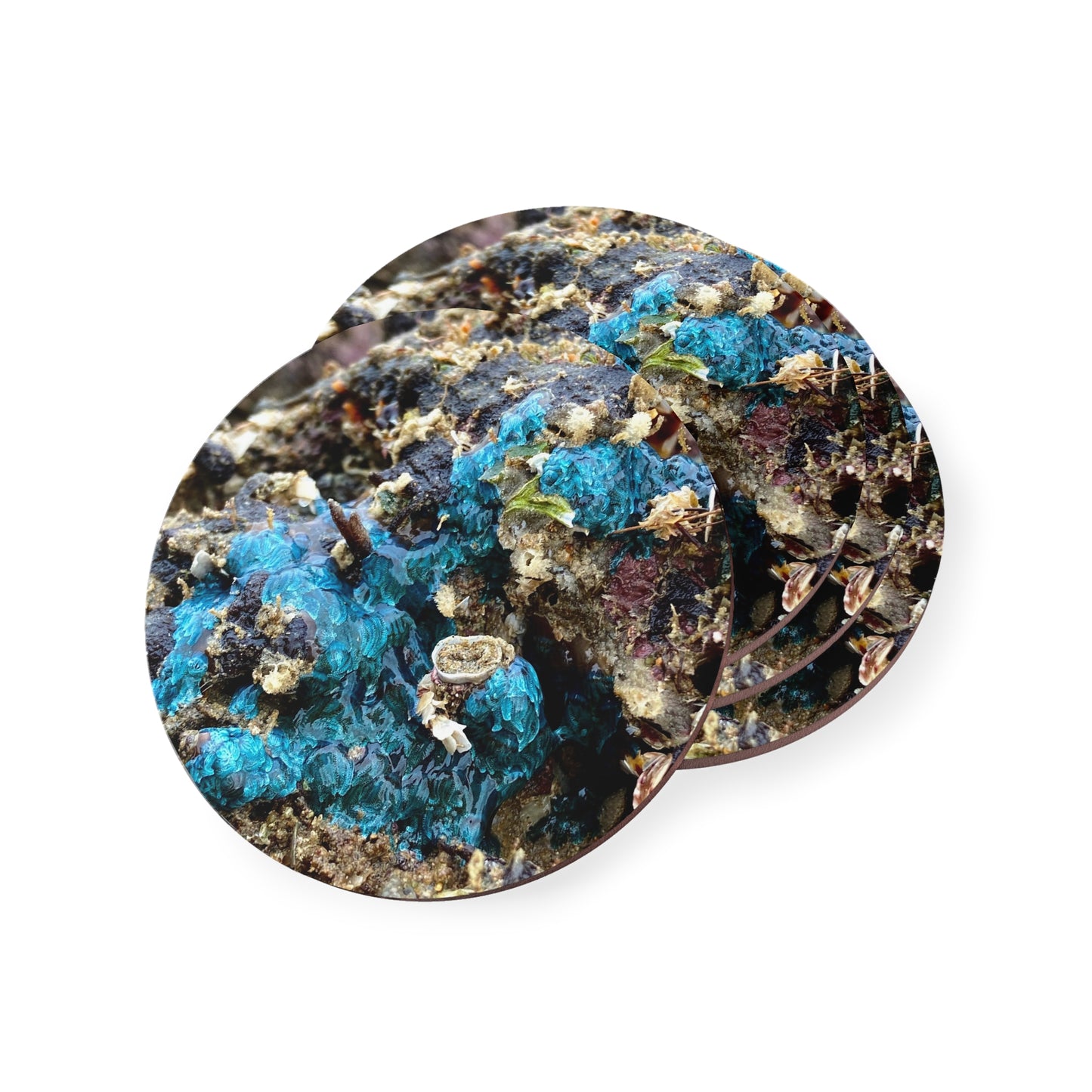 Reef range- AUS PRINT Coasters