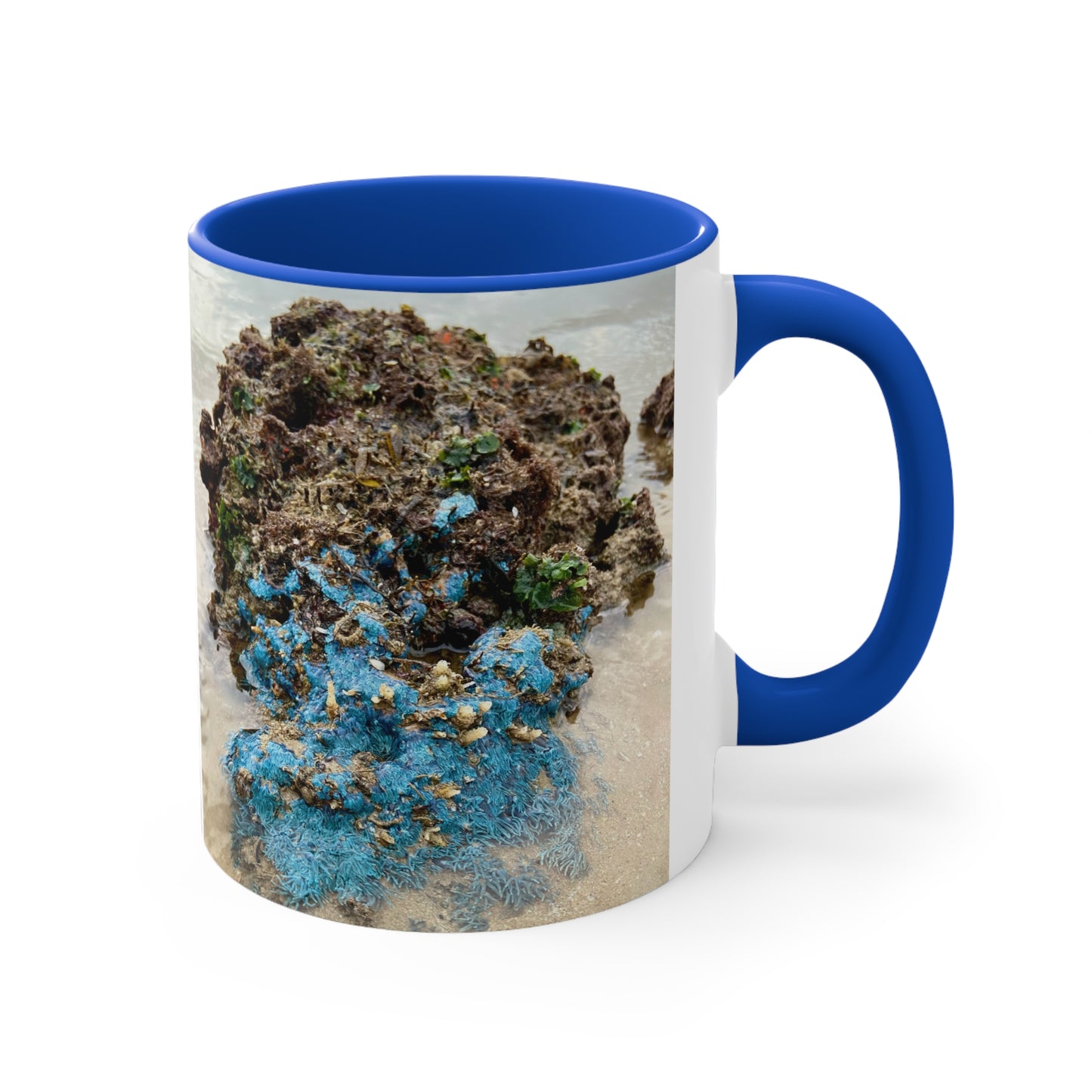 Purposefully Wandering Colorful Accent Mug - 11oz Ocean-Inspired Coffee Cup