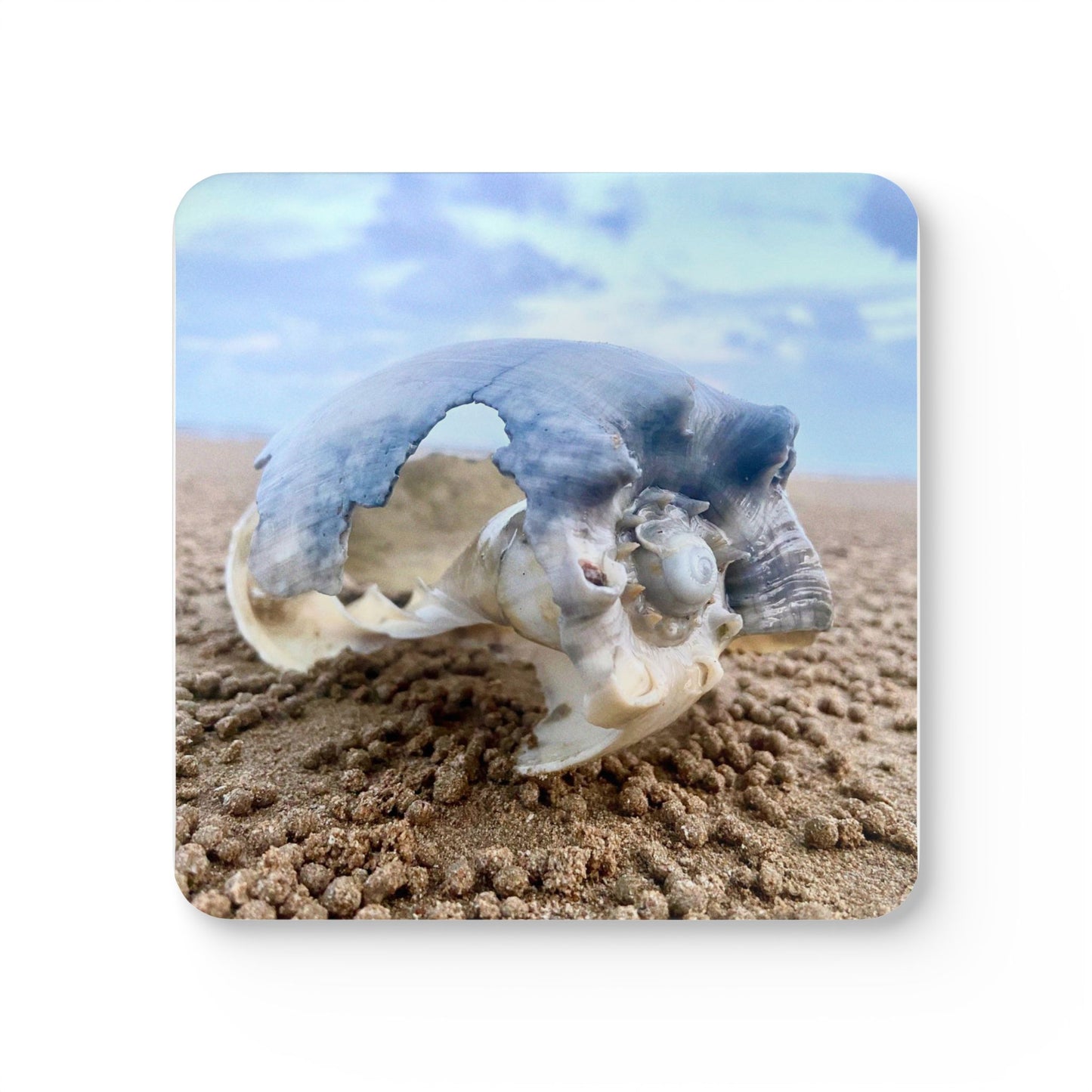 Seashell Corkwood Coaster Set - Coastal Home Decor