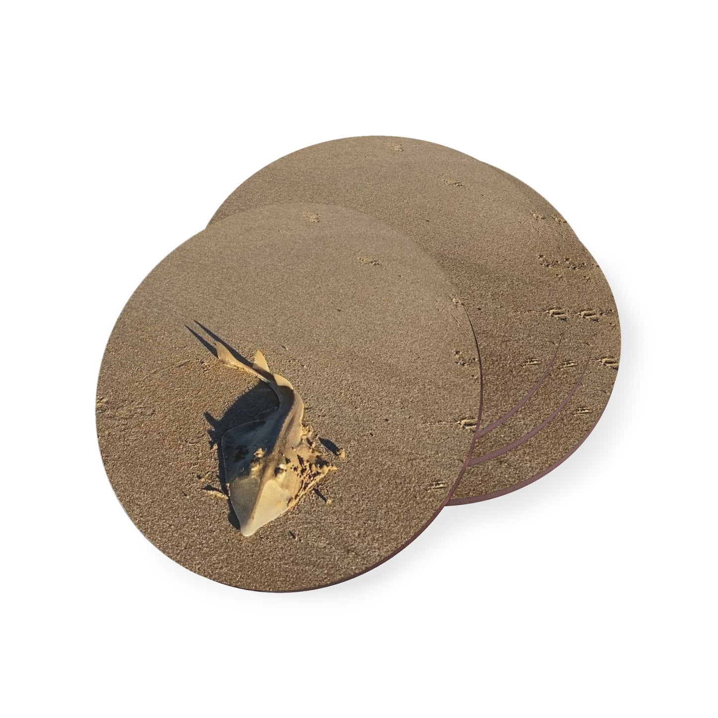 Coasters with Beach Vibes | Ocean-Themed Drink Coasters for Coastal Decor