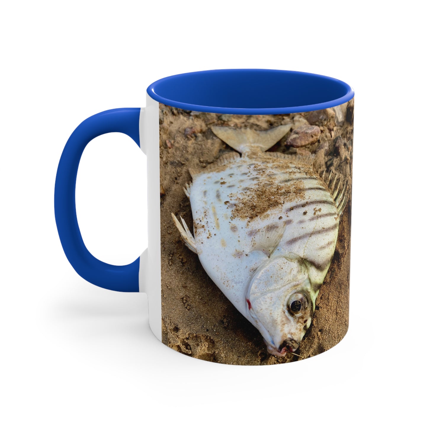 Purposeful Wandering Scat Fish Accent Mug – 11oz Colorful Coffee Cup for Nature Lovers