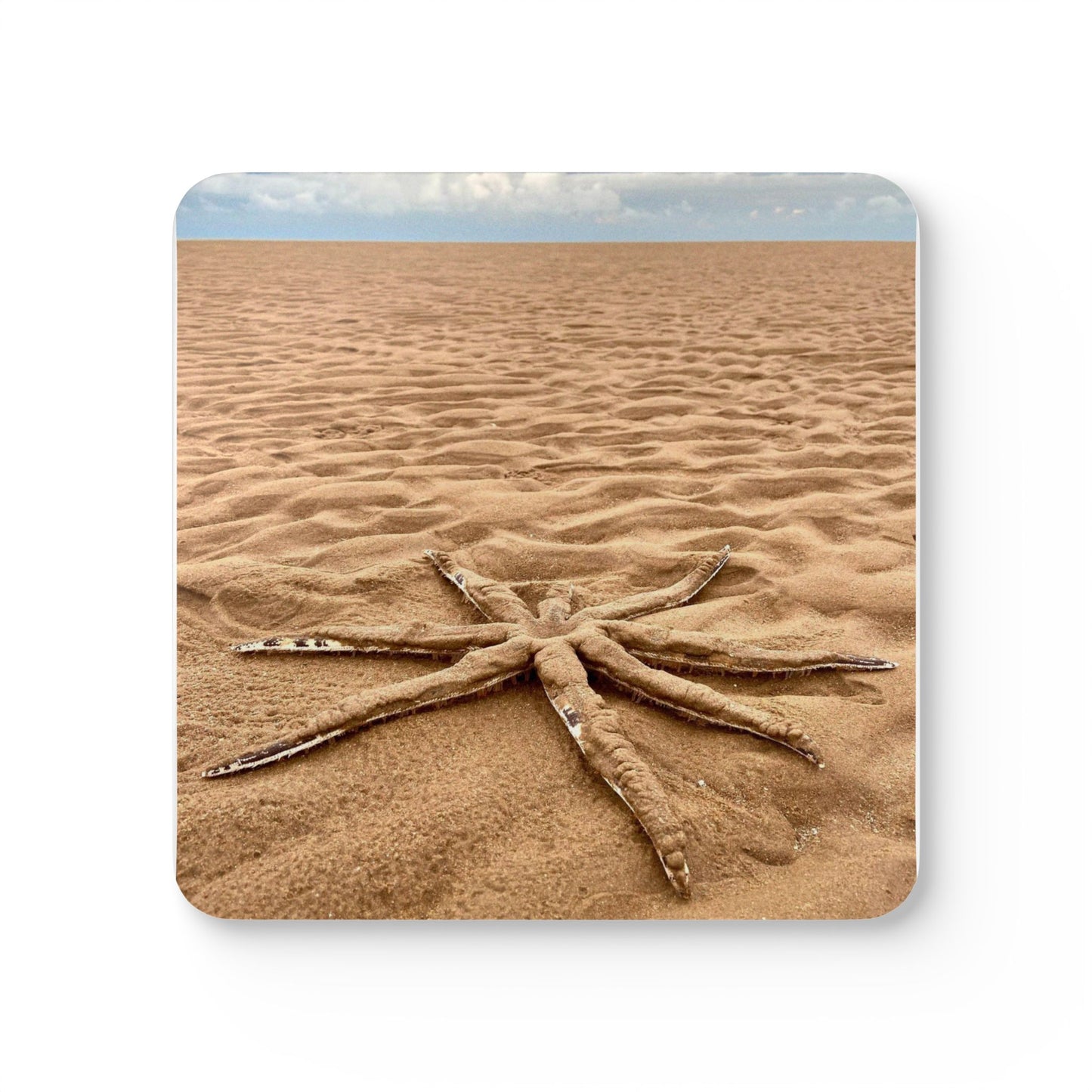 Ocean-Inspired Corkwood Coaster Set - Perfect for Beach Lovers