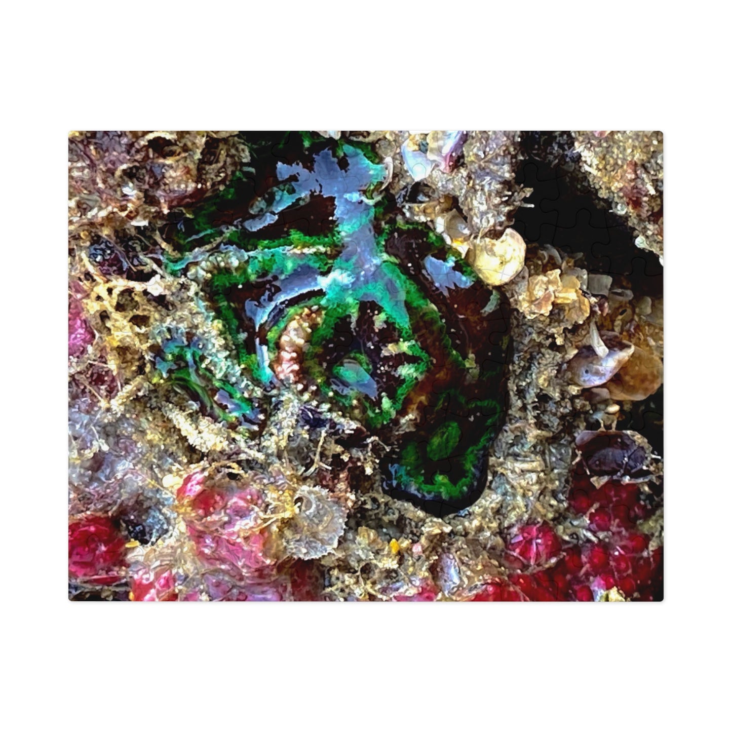 Reef range- Jigsaw Puzzle (30, 110, 252, 500,1000-Piece)