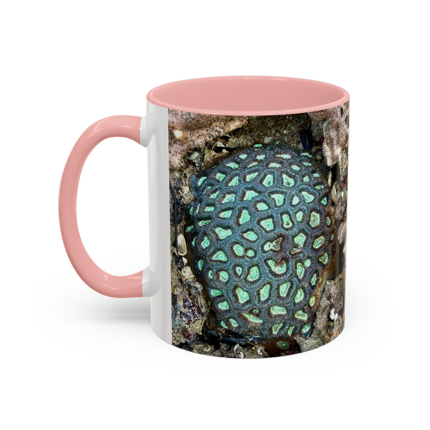 Reef range Accent Coffee Mug (11, 15oz)