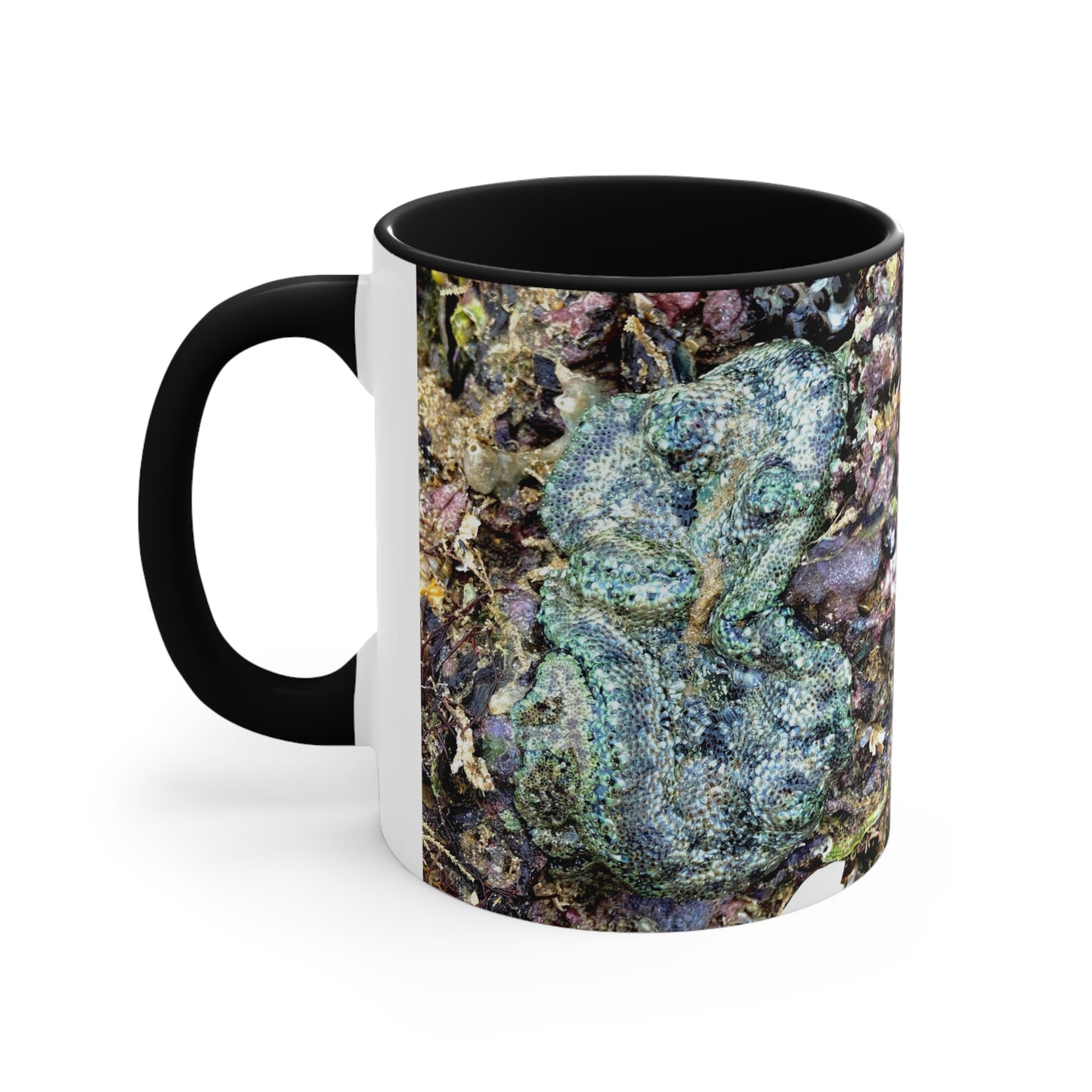 Reef range- AUS PRINT Colorful Accent Mugs, 11oz