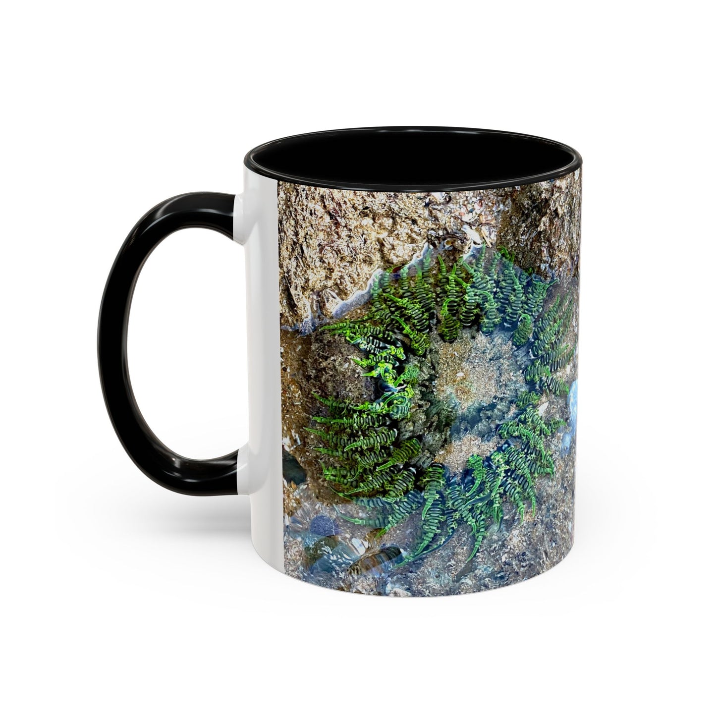 Reef range Accent Coffee Mug (11, 15oz)