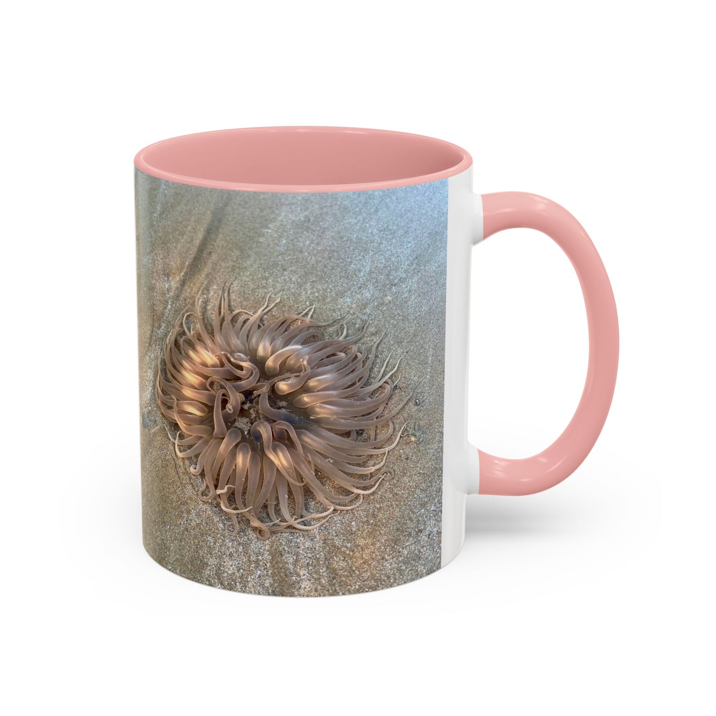 Purposely Wandering Accent Coffee Mug - Unique 11oz & 15oz Drinkware for Nature Lovers