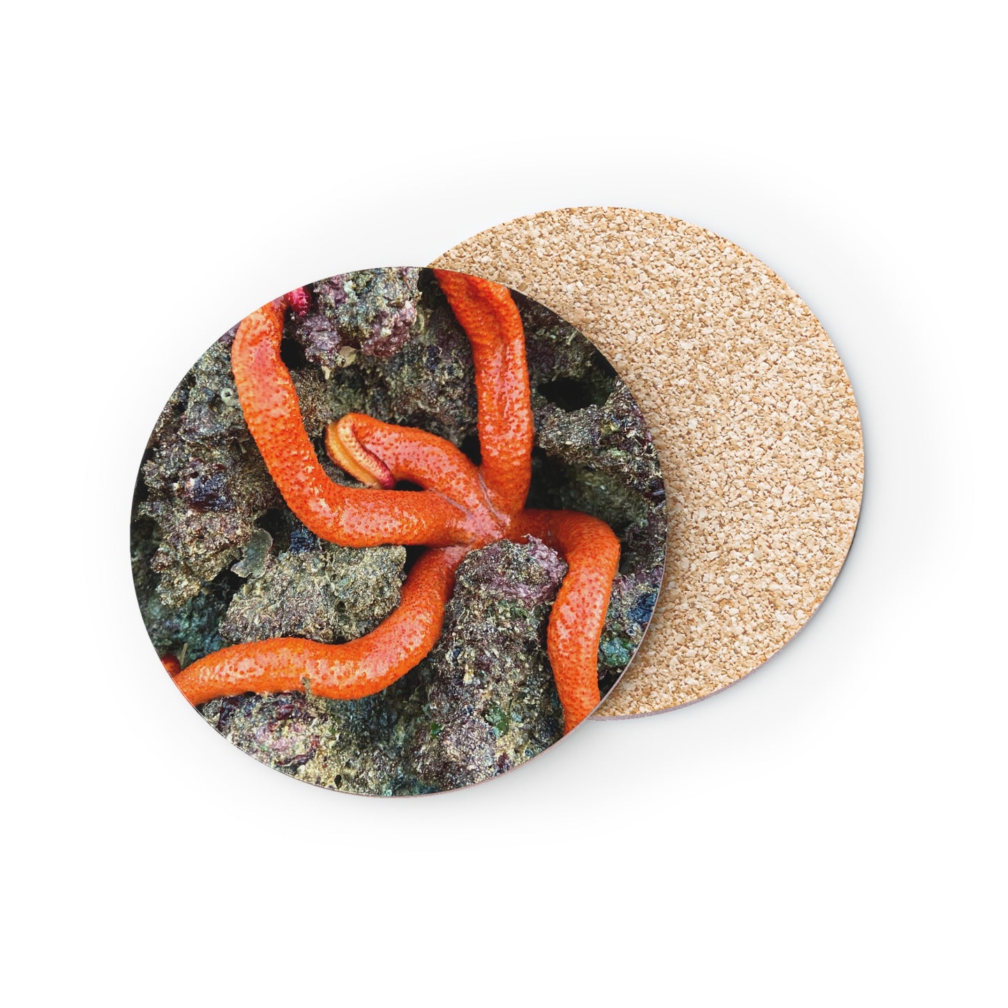 Ocean Life Coasters - Vibrant Coral Reef Design