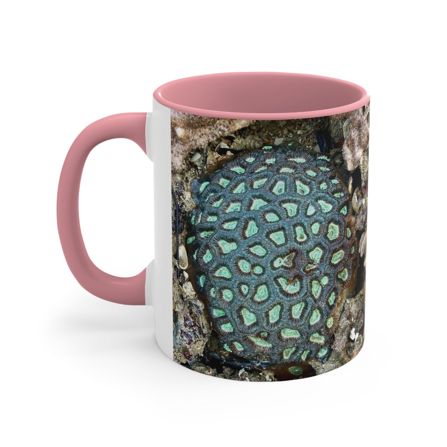 Reef range- AUS PRINT Colourful Accent Mugs, 11oz