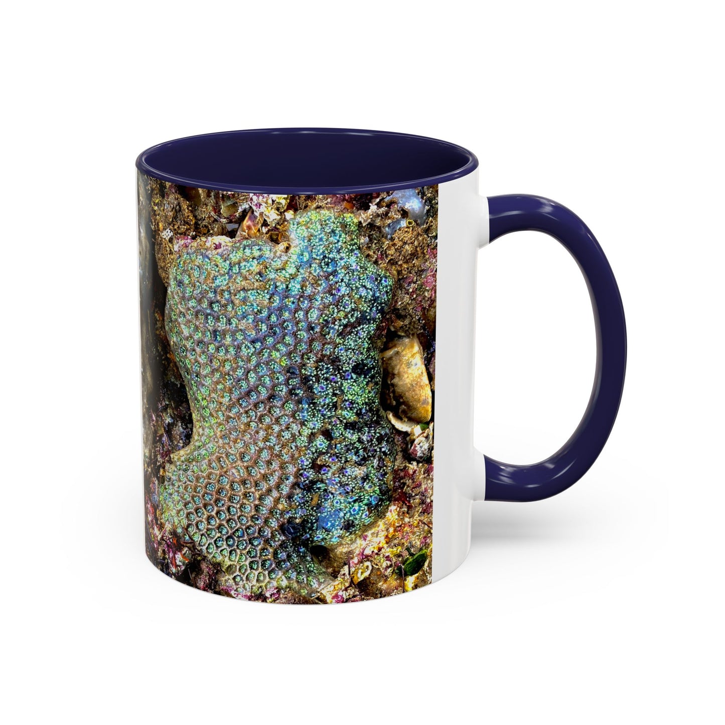 Reef range Accent Coffee Mug (11, 15oz)