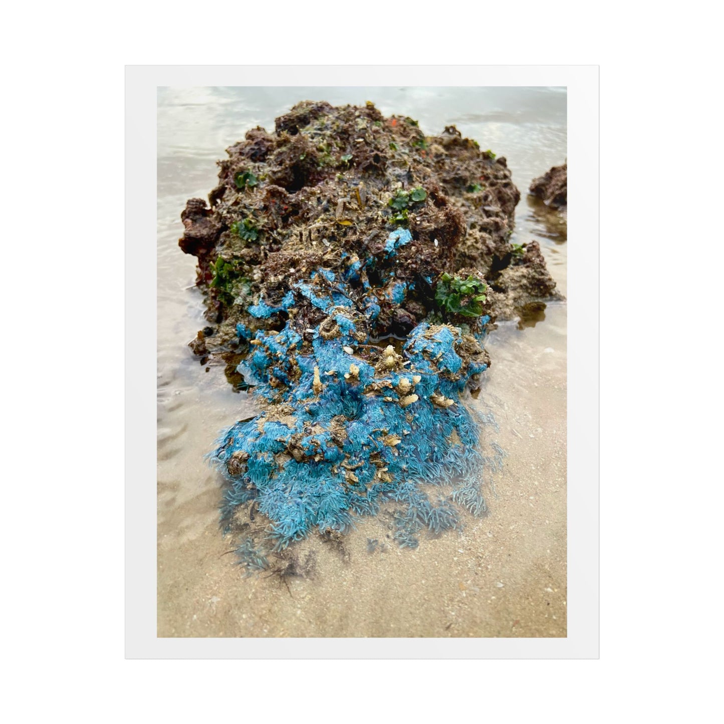 Coastal Serenity Unframed Poster - Ocean Rock Art Print for Beach Lovers