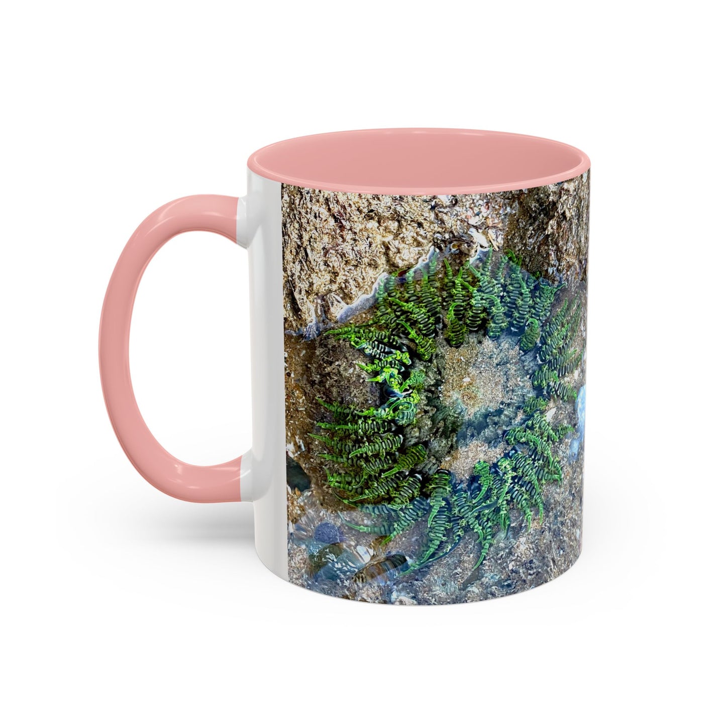 Reef range Accent Coffee Mug (11, 15oz)