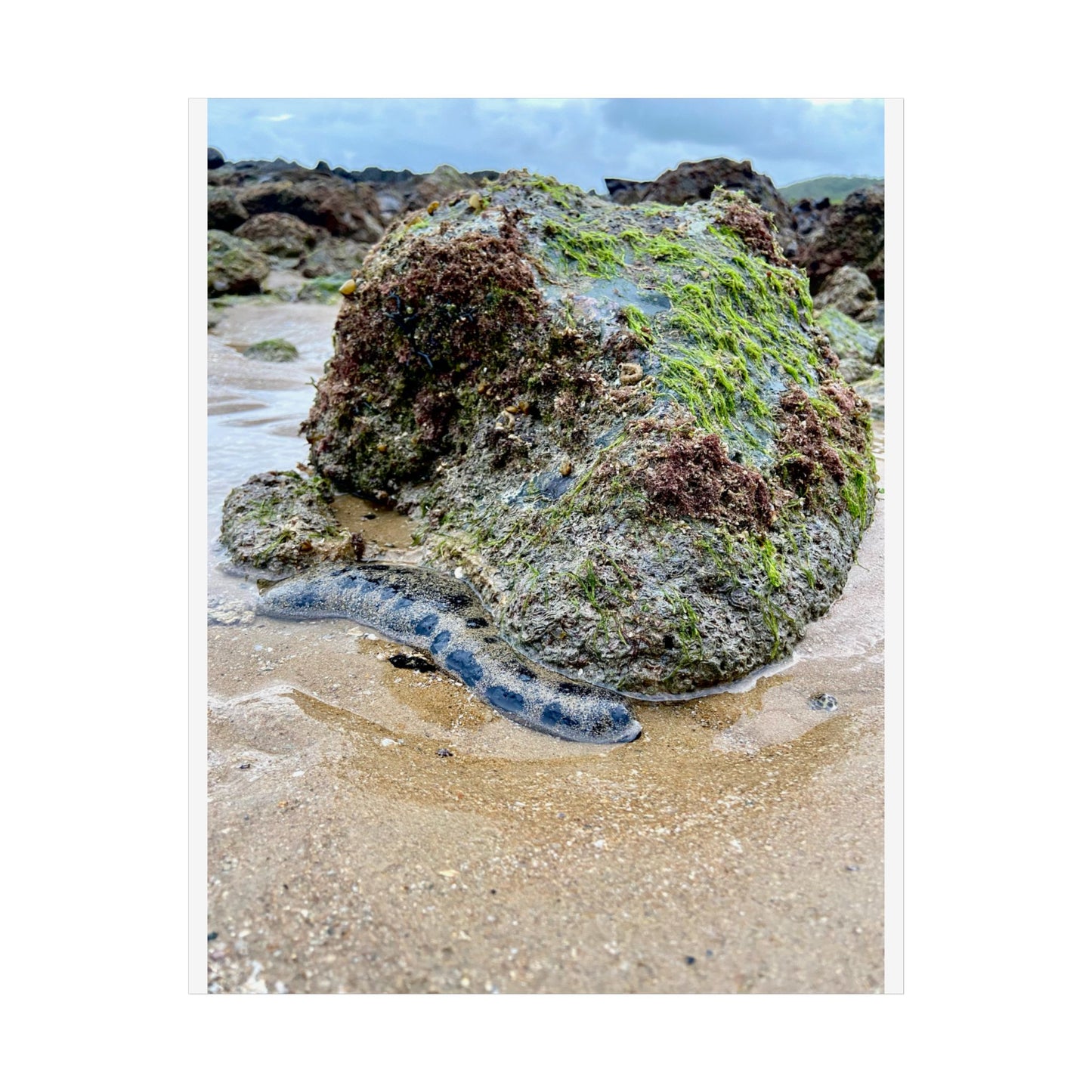 Ocean-Inspired Unframed Poster – Coastal Serenity Wall Art