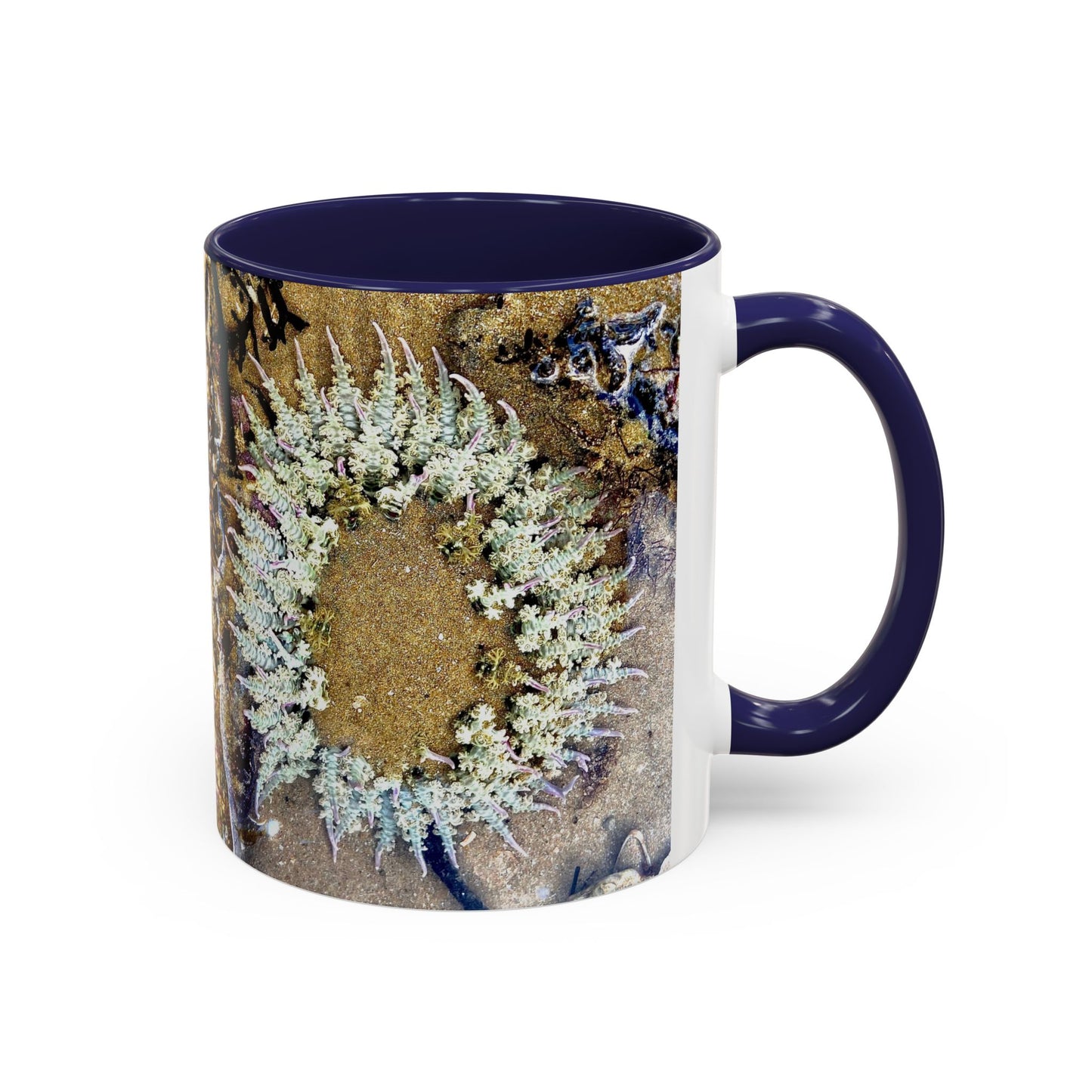 Reef range Accent Coffee Mug (11, 15oz)