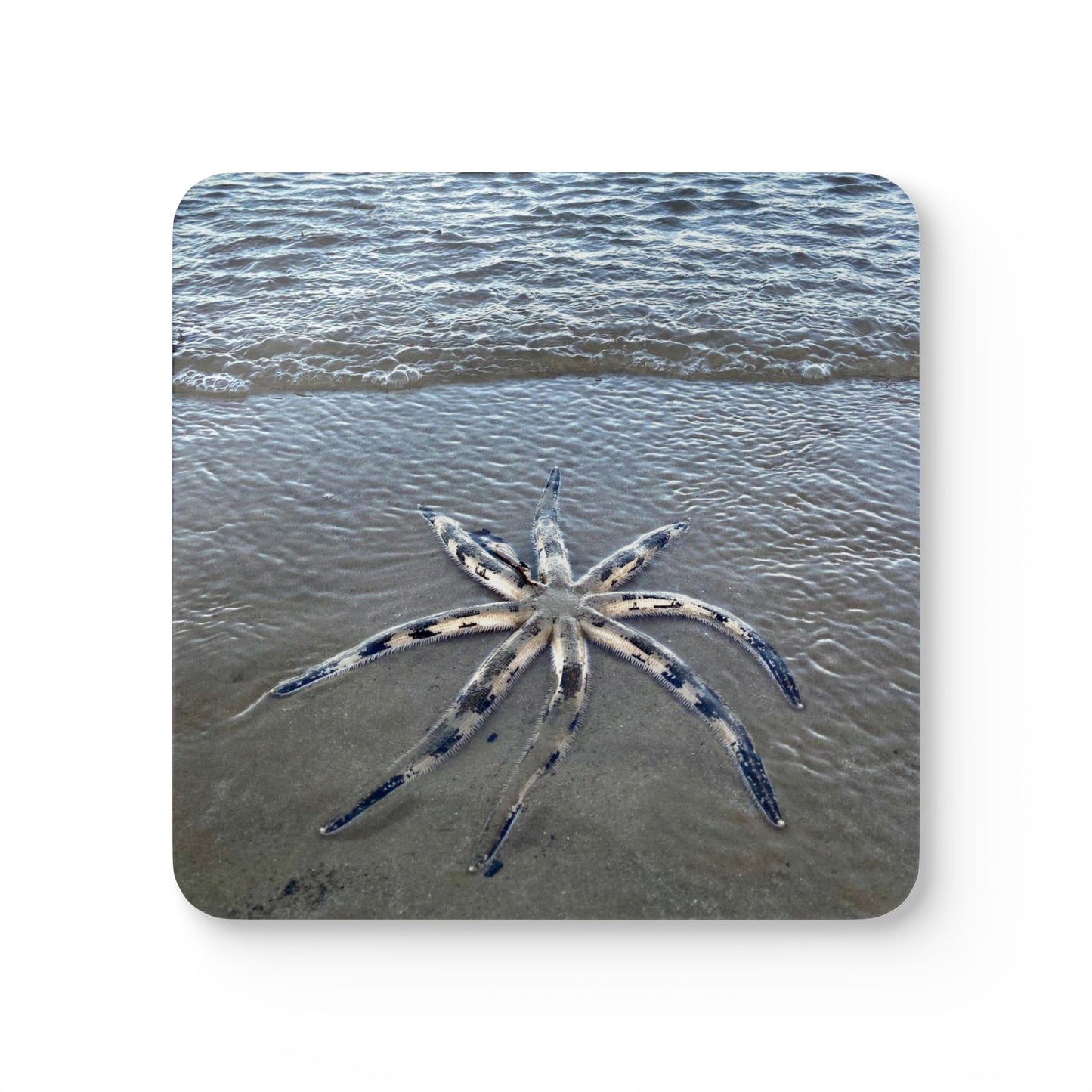 Ocean-Inspired Corkwood Coaster Set - Beachy Home Decor for Nature Lovers