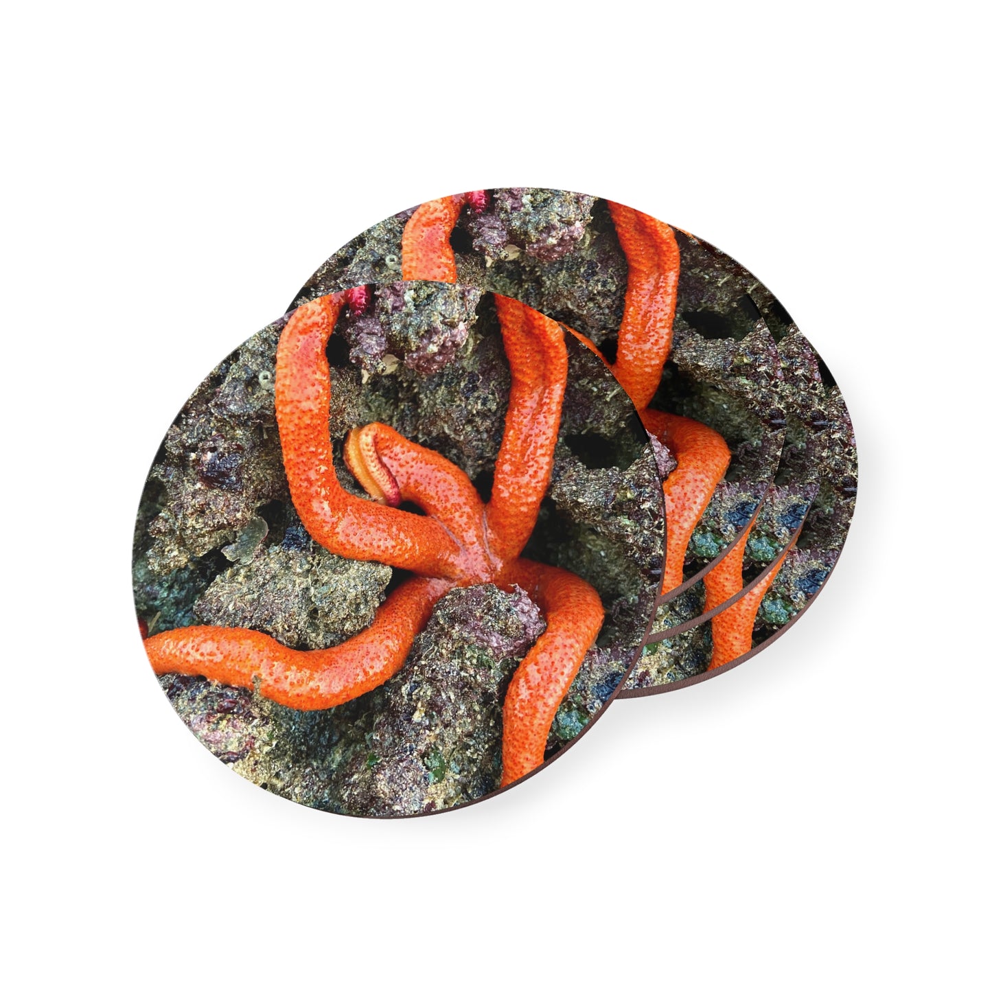 Ocean Life Coasters - Vibrant Coral Reef Design