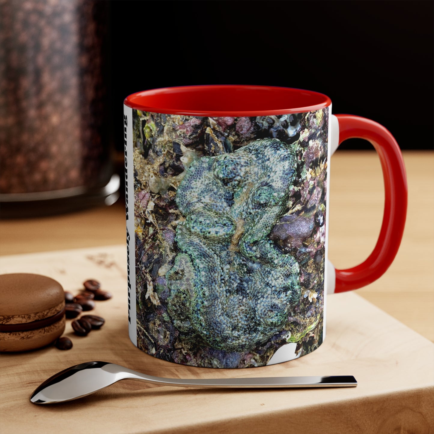 Reef range- AUS PRINT Colorful Accent Mugs, 11oz
