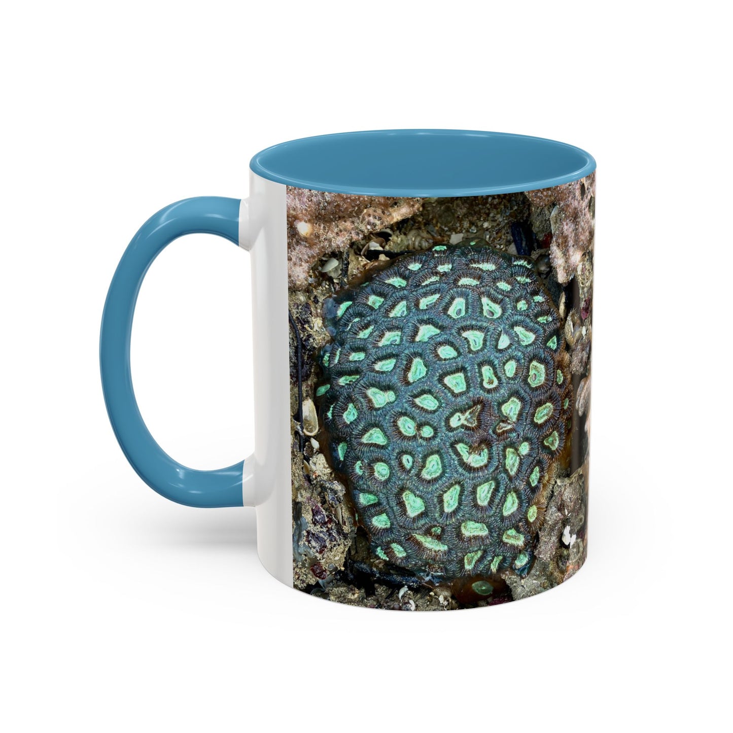 Reef range Accent Coffee Mug (11, 15oz)