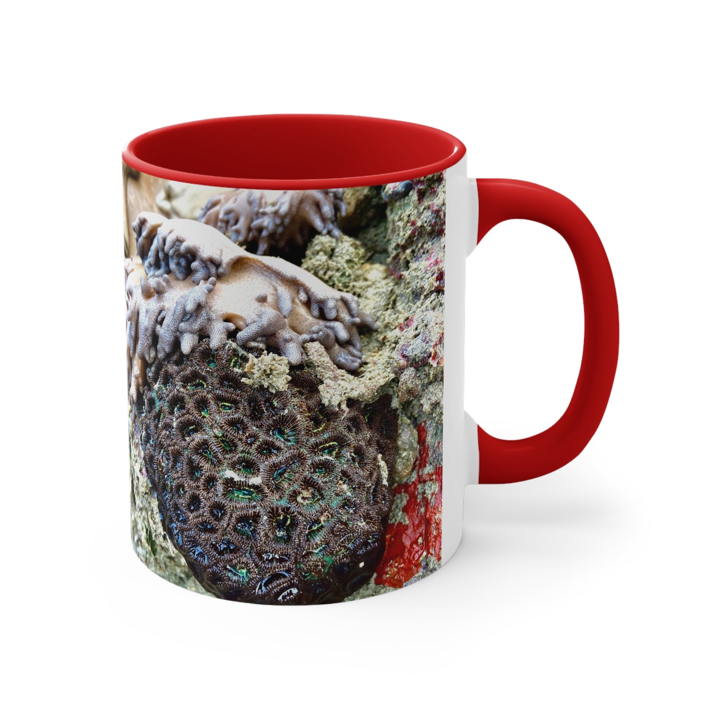 Purposely Wandering Coral Accent Mug - 11oz Colorful Coffee Cup