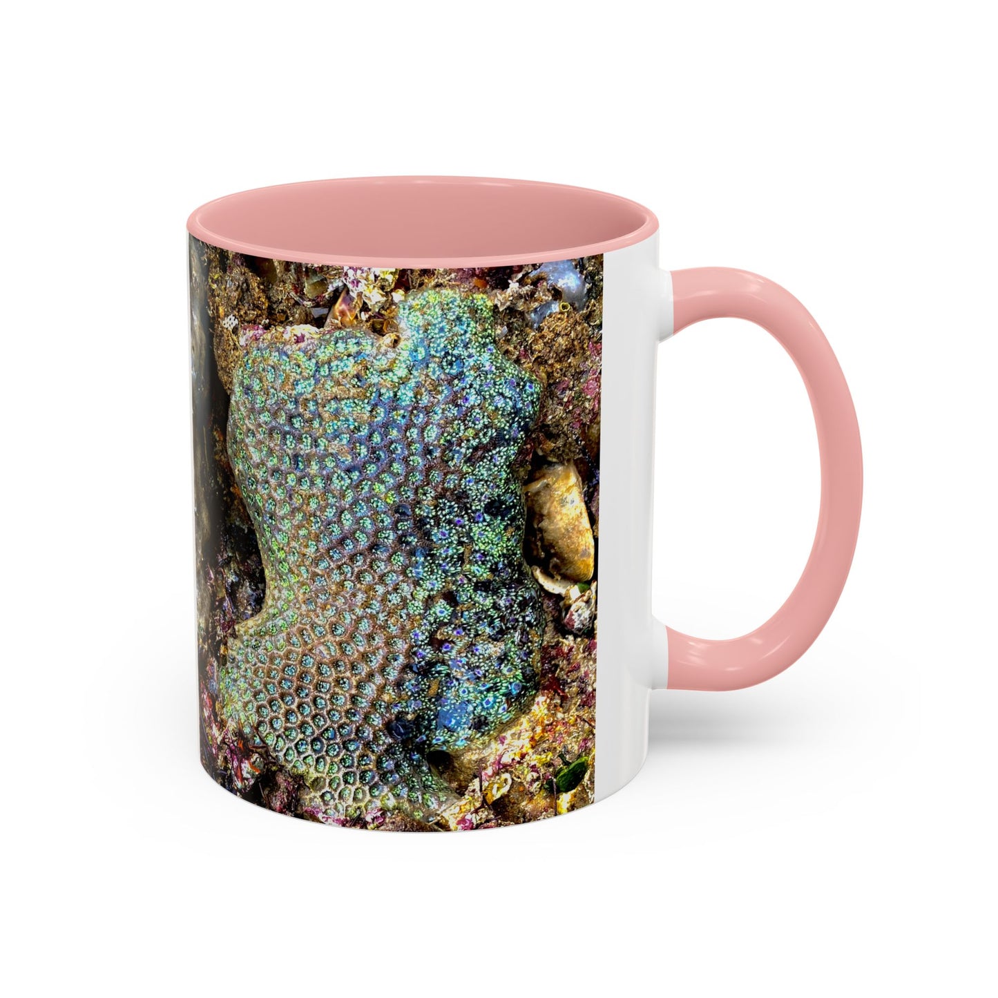 Reef range Accent Coffee Mug (11, 15oz)