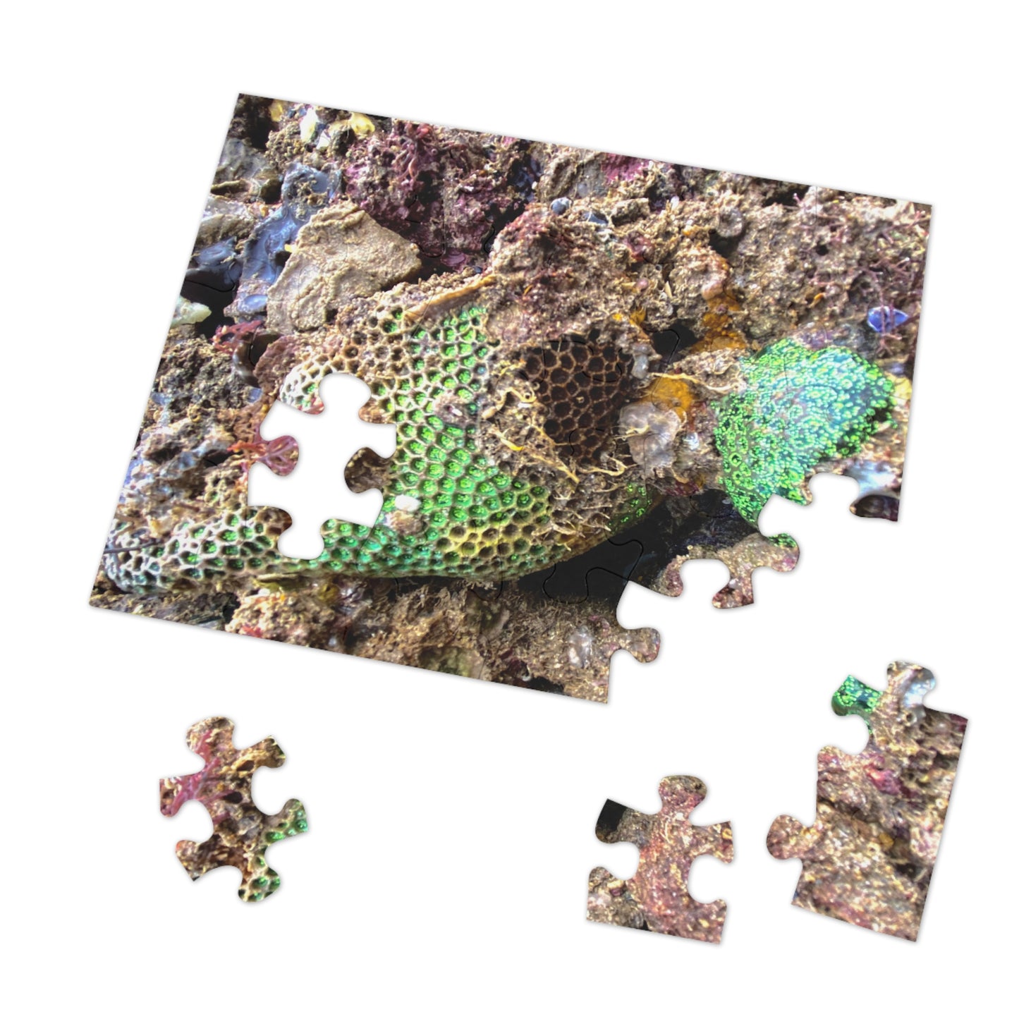Reef range- Jigsaw Puzzle (30, 110, 252, 500,1000-Piece)