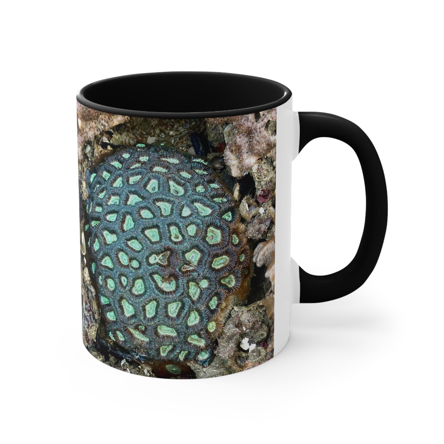 Reef range- AUS PRINT Colourful Accent Mugs, 11oz