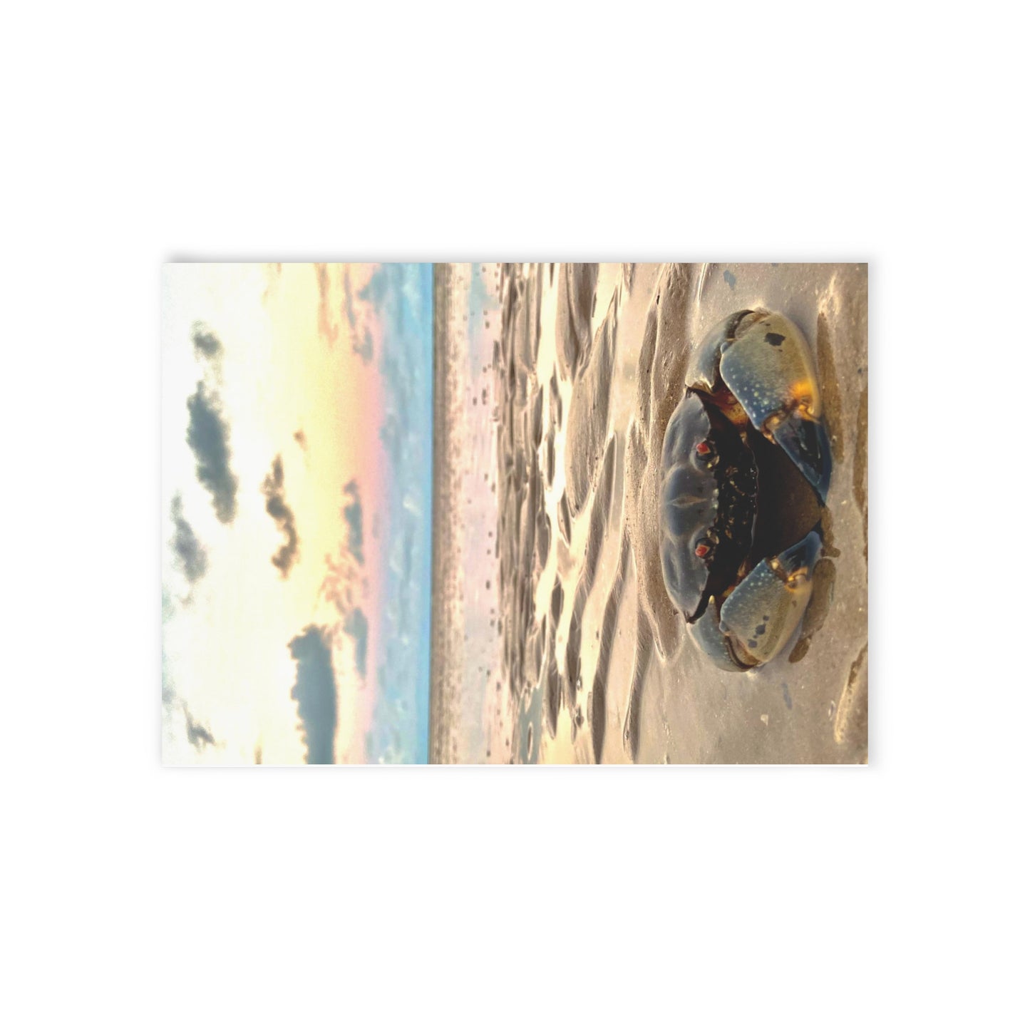 Beach Lovers range- Holiday Cards (Two-sided print)
