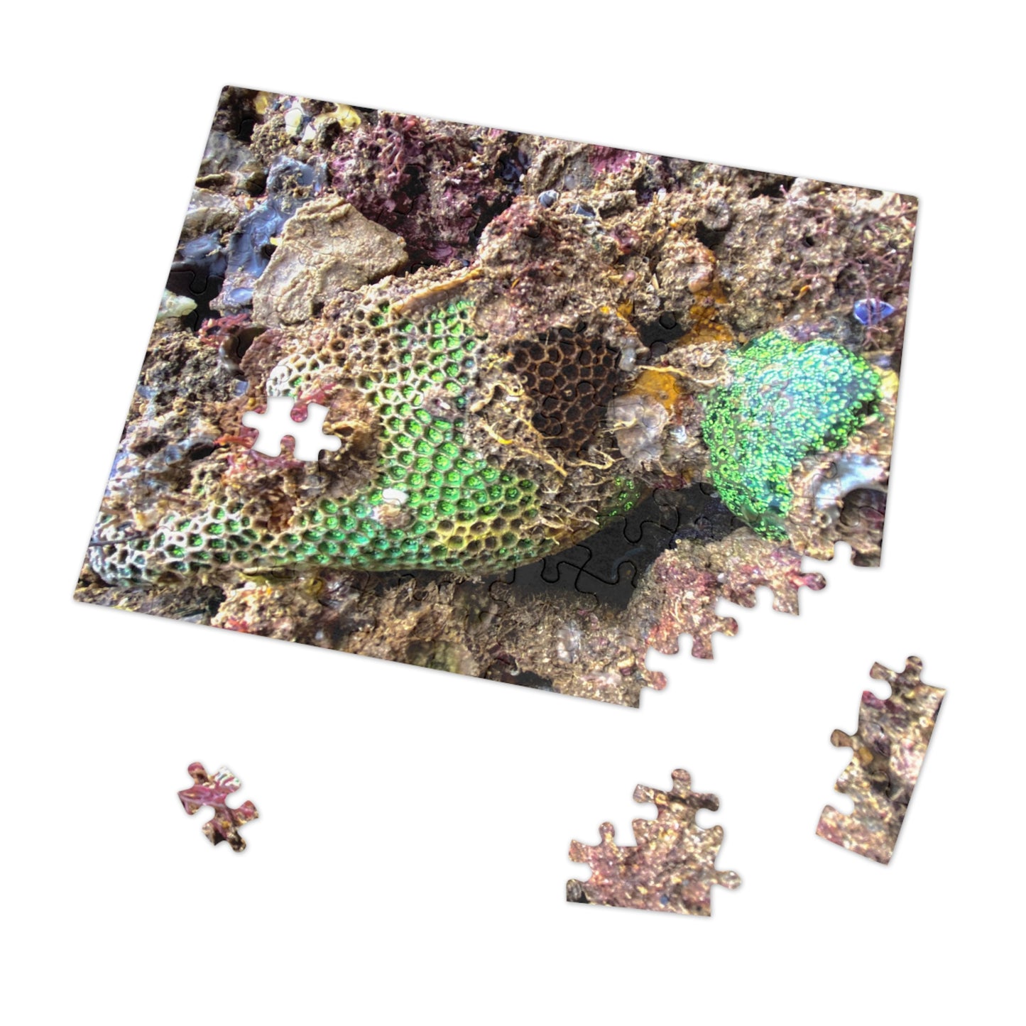 Reef range- Jigsaw Puzzle (30, 110, 252, 500,1000-Piece)