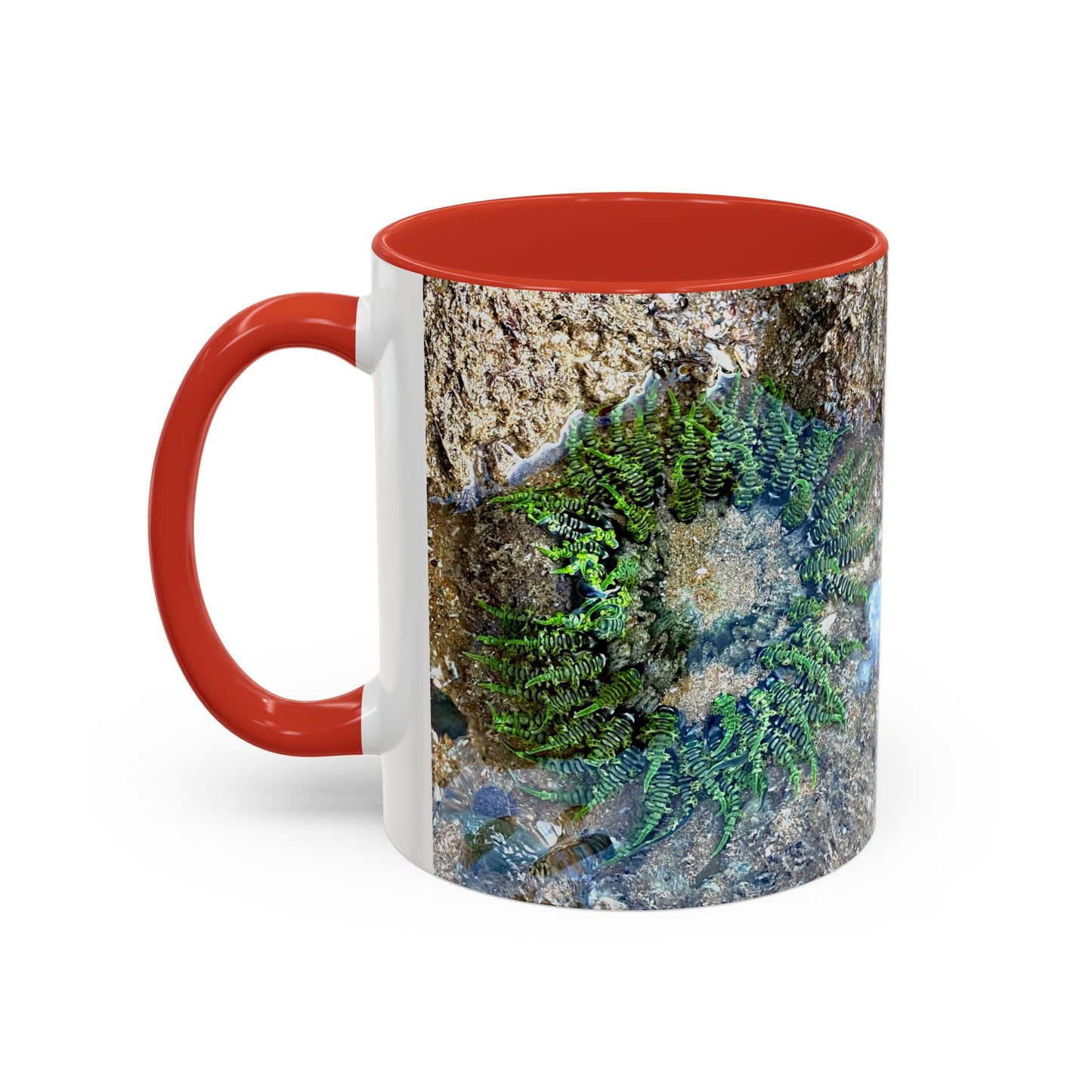Reef range Accent Coffee Mug (11, 15oz)