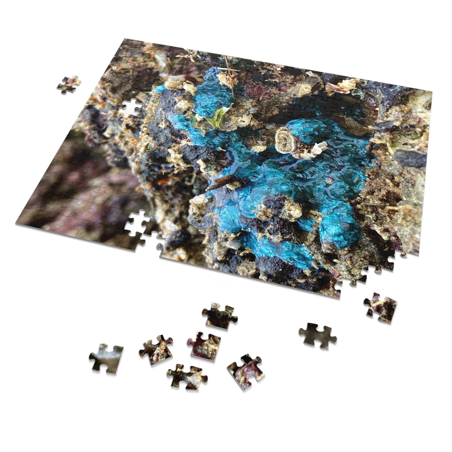 Reef range- Jigsaw Puzzle (30, 110, 252, 500,1000-Piece)