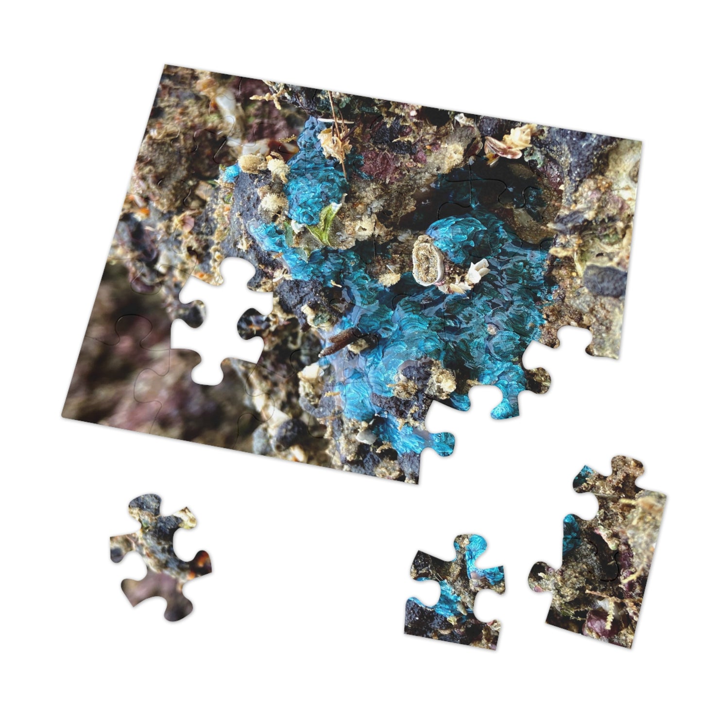 Reef range- Jigsaw Puzzle (30, 110, 252, 500,1000-Piece)
