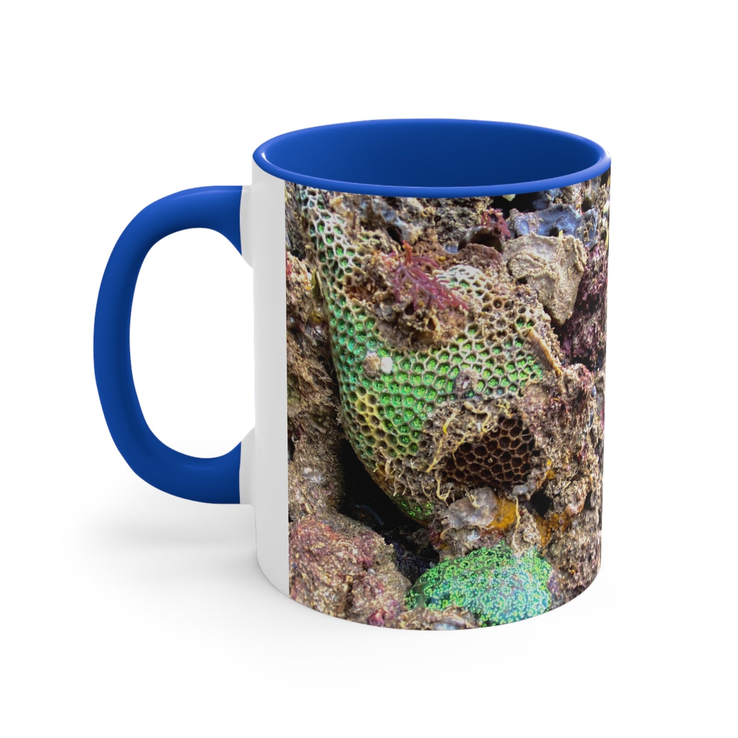 Reef range- AUS PRINT Colorful Accent Mugs, 11oz