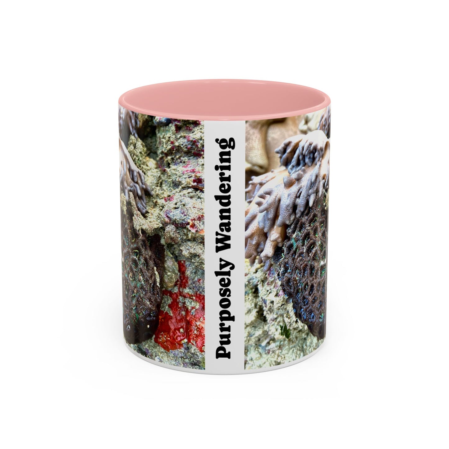 Reef range Accent Coffee Mug (11, 15oz)